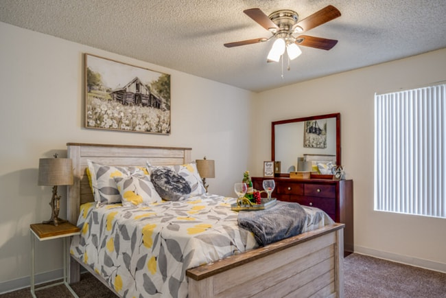 Photo - Sahara and Playa Palms