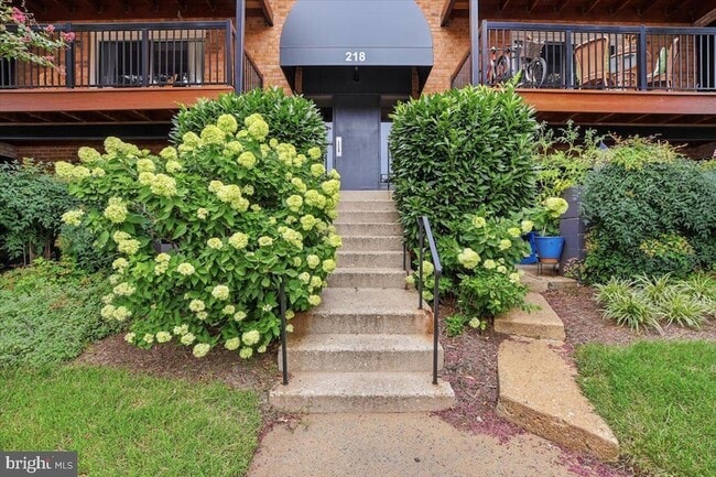 Building Photo - 218 Locust St SE Unit 142