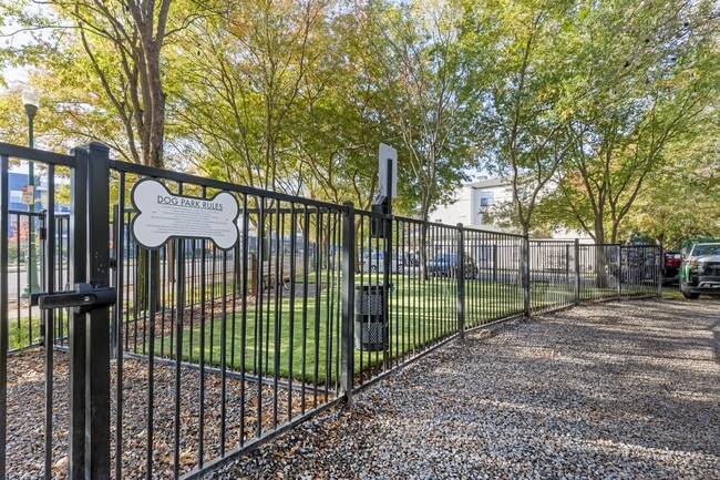Our newly renovated dog park is now open, featuring fresh turf and plenty of space for your furry friends to play and socialize. - Renaissance Apartment Homes