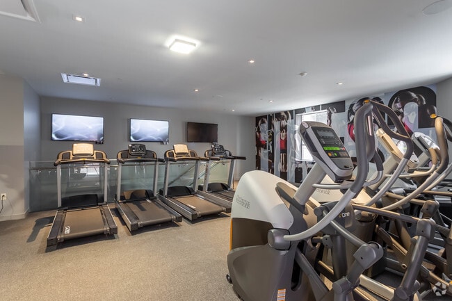 Cardio Equipement - Spectra Pearl 101