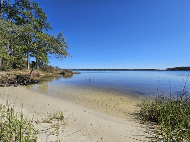 Micro beach - 512 Paulding Ave