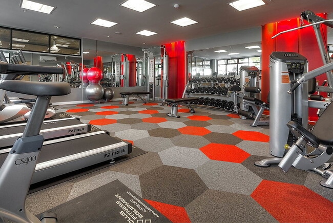 Photo - Velo and Ray