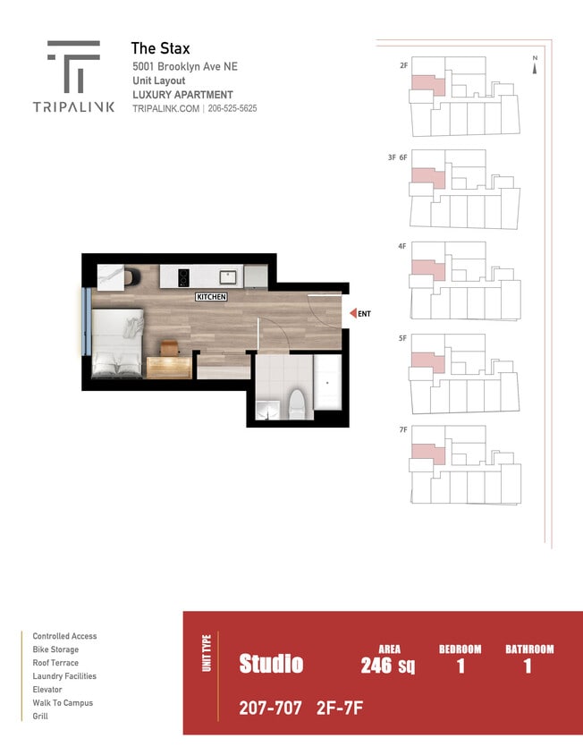 Floor Plan - Studio - 246 sqft