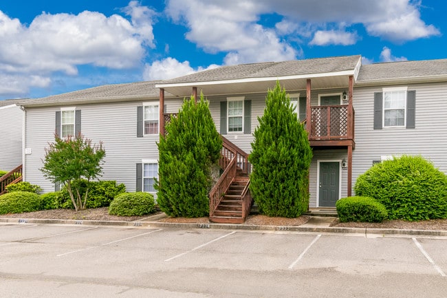 Photo - Lory of Augusta