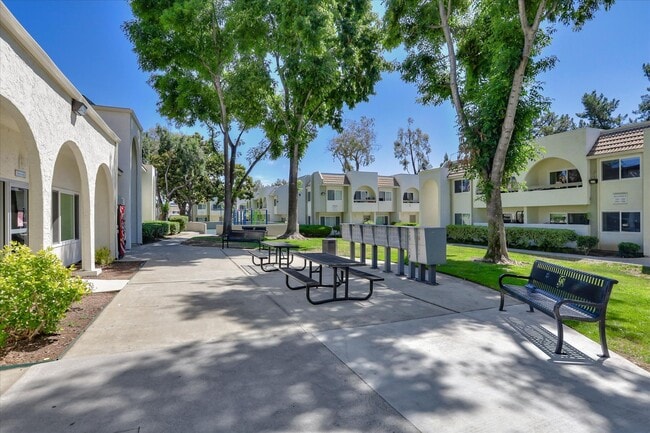 Photo - San Jose Greens