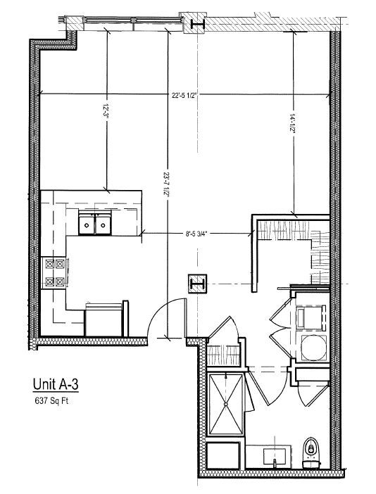 Floor Plan - Spacious Studio