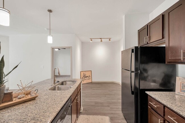 Anatole at Norman general photo - Anatole at Norman