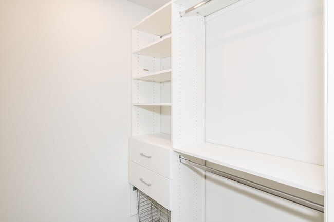 Photo - The Conifers