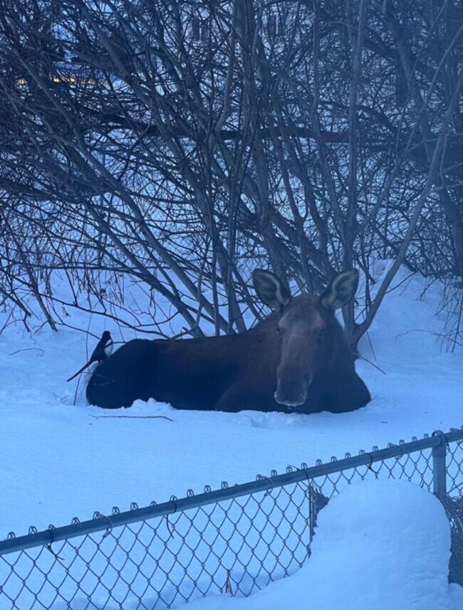 Photo - 319 W 12th Ave Unit ID1284534P