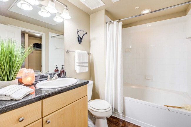 Photo - IMT At City Park