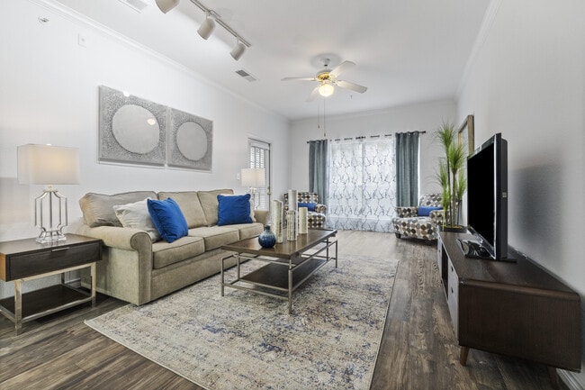 Photo - Vineyard Springs