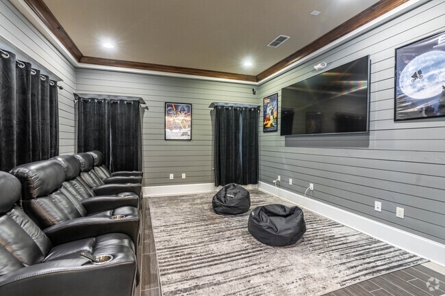 Theater - The Grand Reserve at Spring Hills