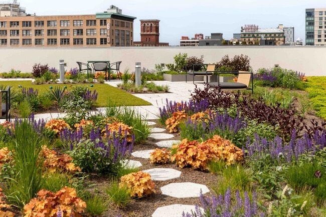 Mily on Green green roof seating - Mily on Green