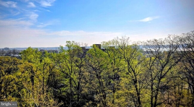 Photo - 5903 Mt Eagle Dr Unit 802