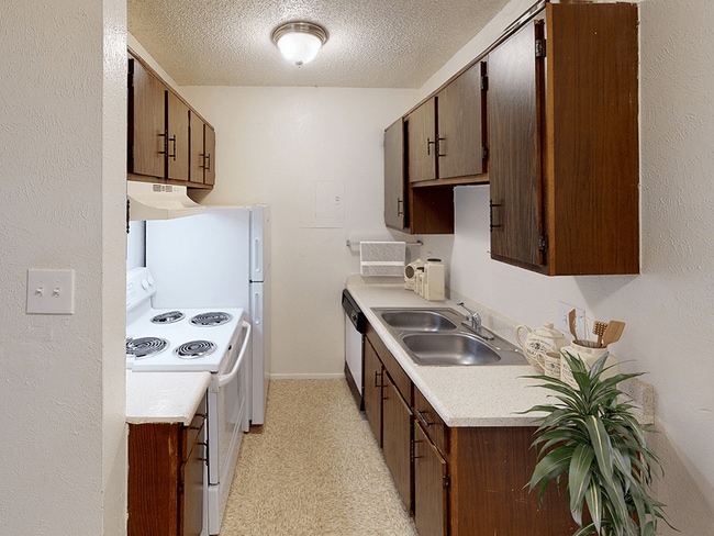 Double-Bowl Sink - The Park