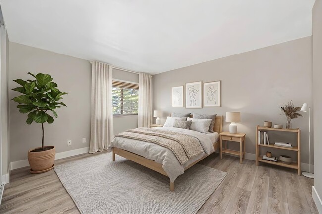 Photo - Rollingwood Condominium Rentals
