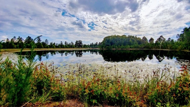 Photo - Independence Place