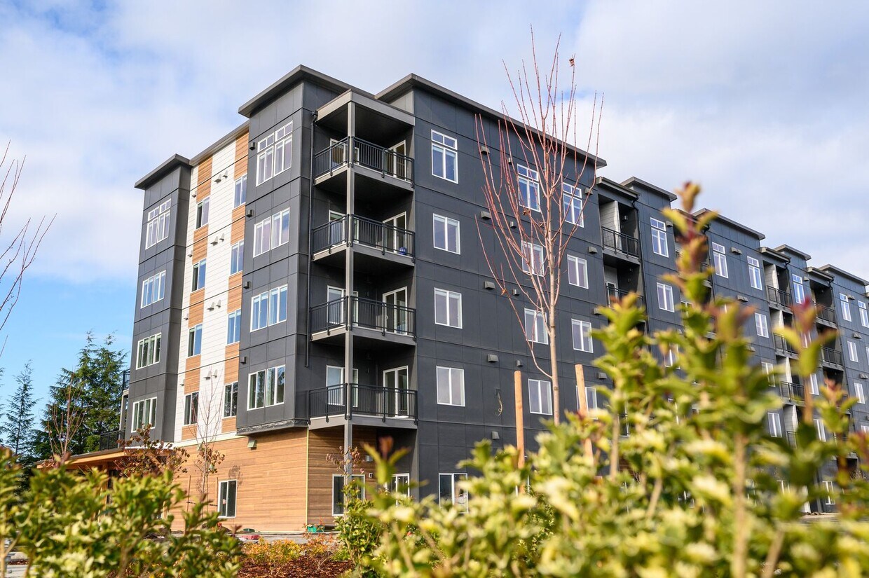 Floor Plan - Elevator 1 Bedroom 1 Bathroom 
