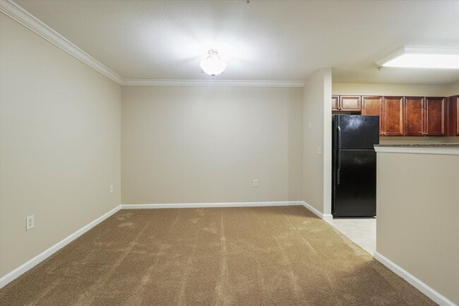 Photo - CRICKET CLUB II