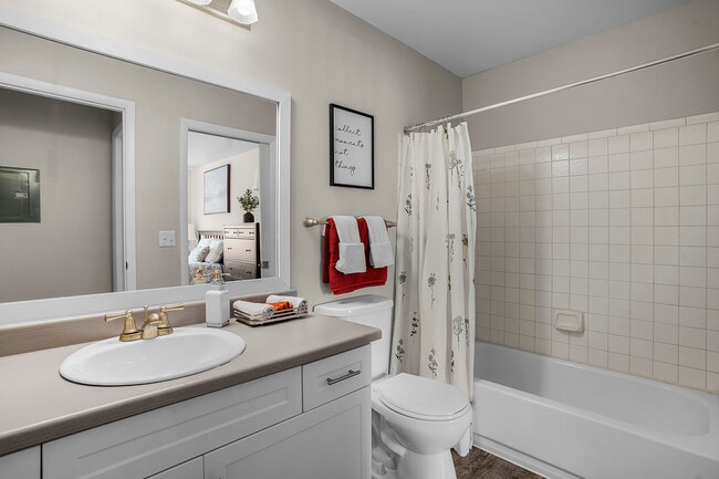 Photo - Mountain Shadows