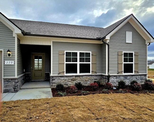 Photo - 229 Republic St