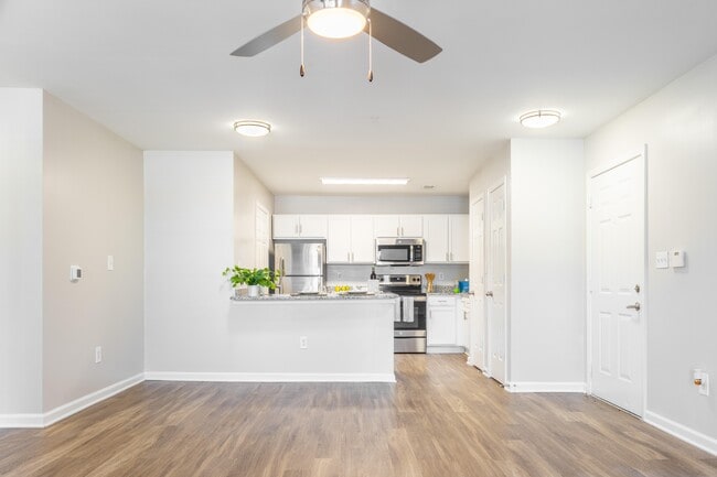 Photo - Autumn Winds