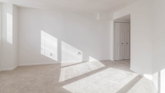 Carpeted Bedroom - Courthouse Plaza