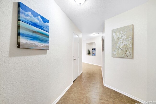 Photo - 446 Eastern Phoebe