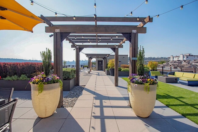 Photo - Velo and Ray