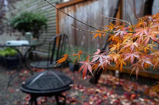 Photo - 1208 E Thomas St Unit ID1324809P