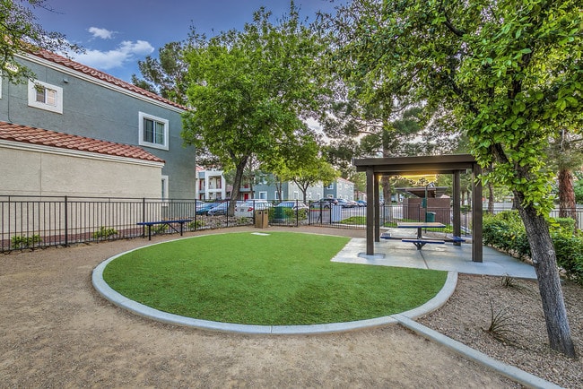 Dog Park - Solstice Apartment Homes