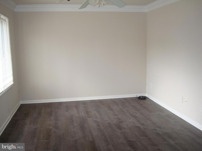 Photo - 204 Cameron St
