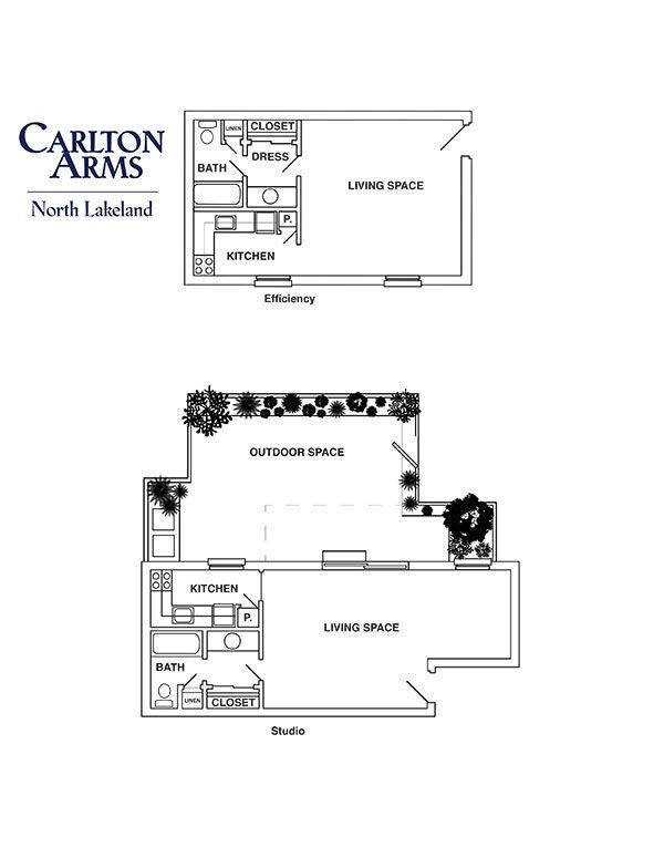 Floor Plan - Efficiency Upstairs