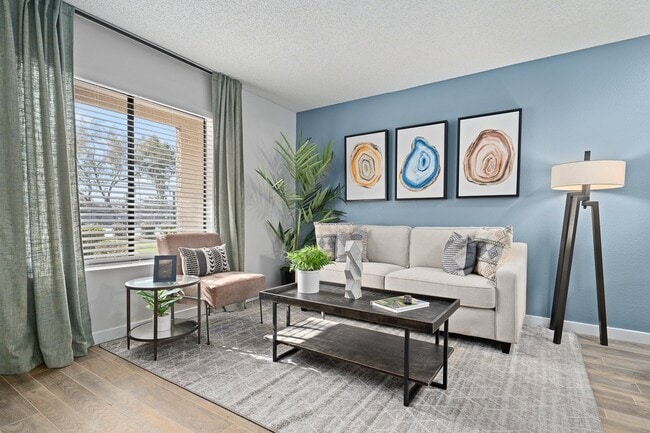 Photo - Solas Glendale