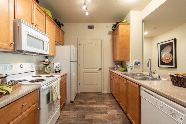 2BR, 2BA - 1,156SF - Kitchen - Palmilla at Campus Pointe