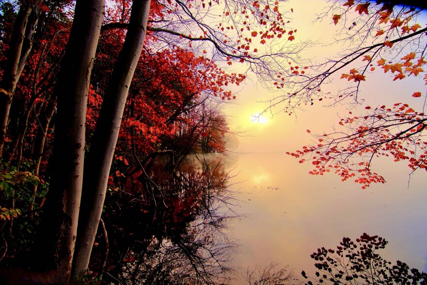 Primary Contact Photo