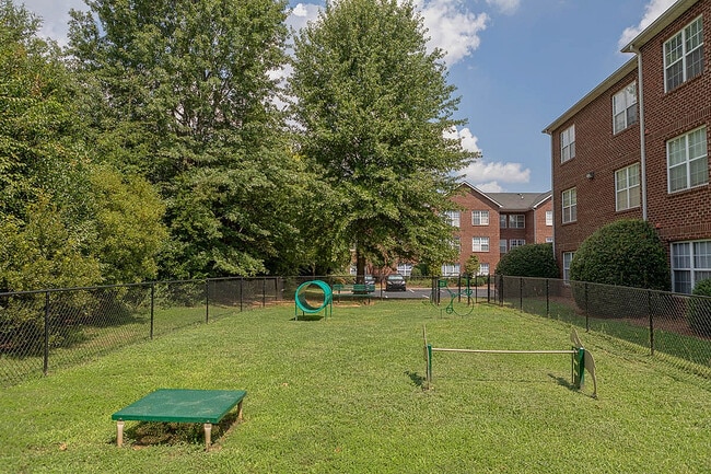 Pet-Friendly Perks at Morgan Ridge Apartments - Morgan Ridge