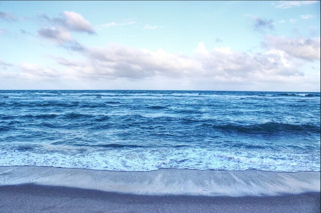 Photo - 324 Van Buren St Unit FL1-ID1358004P