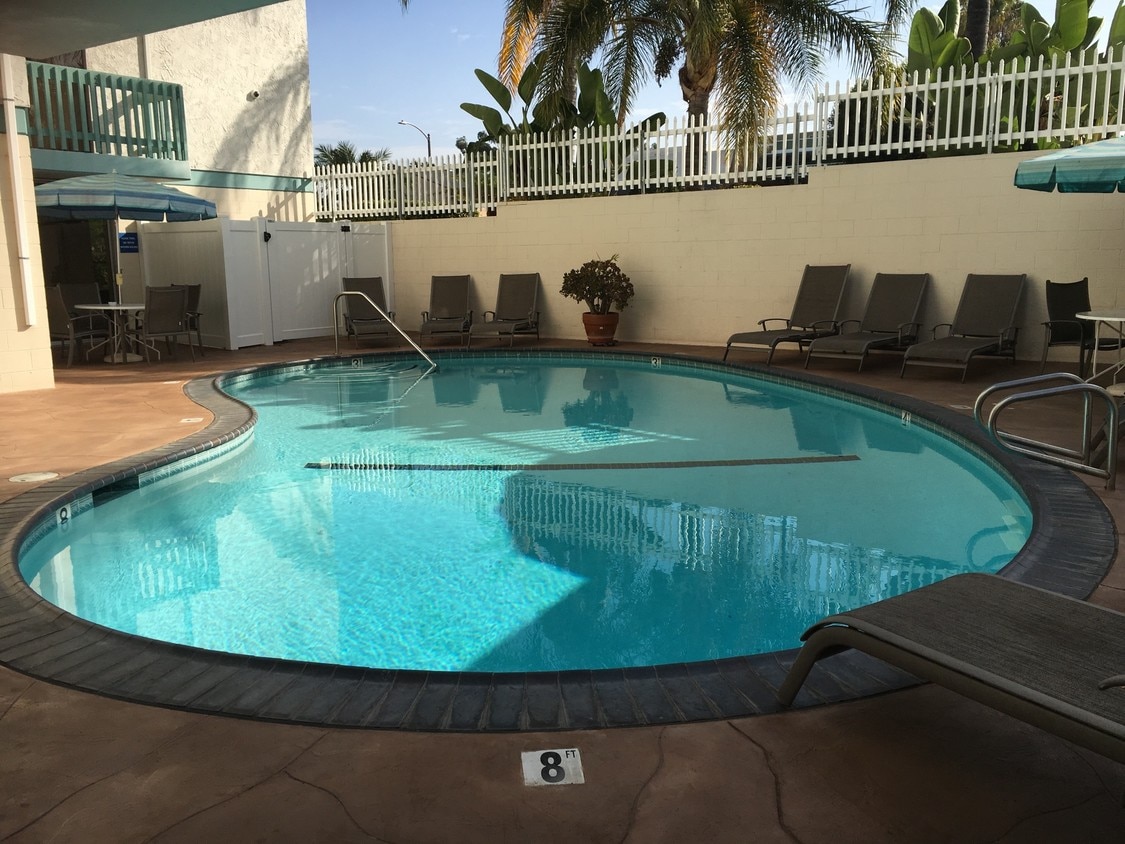 Floor Plan - 1 Bed 1 Bath (Elysian)