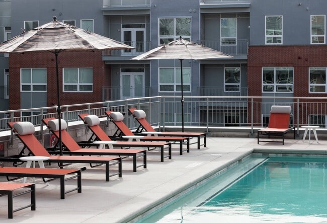 Photo - Emery West Highland