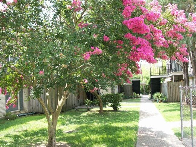 By the Pool - Normandy Village