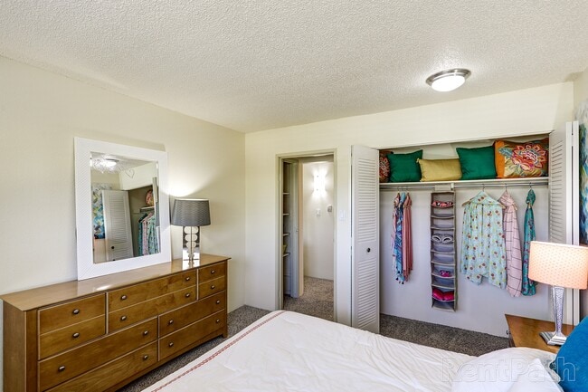 Photo - Spyglass Creek