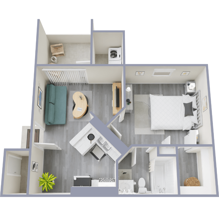 Elm602_Overhead_478632.png - Elm