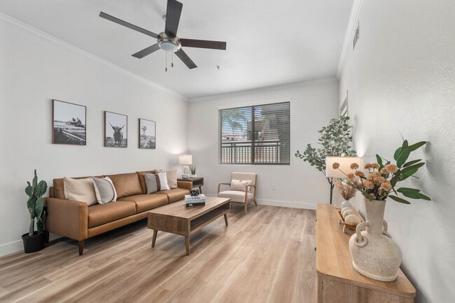 Photo - Emory Old Town