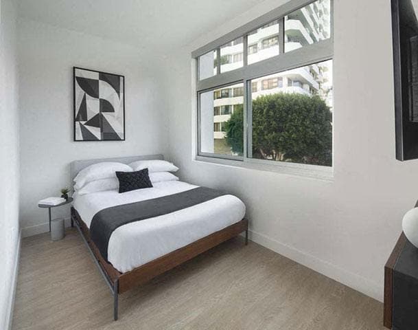 Floor Plan - Furnished Co-Living Junior Suite