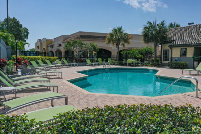 Pool - The District at Clearwater