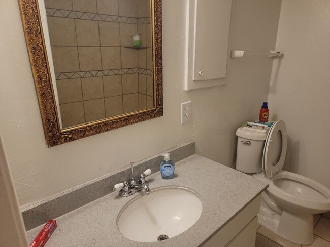 Photo - The Pines Apts