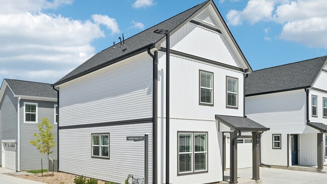 Photo - Avanterra Black Forest