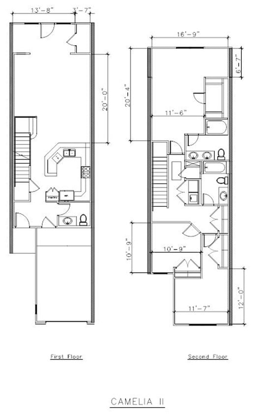 Camelia II - Camelia II