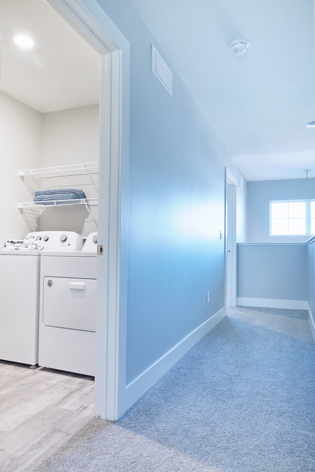 Photo - Michigan Meadows